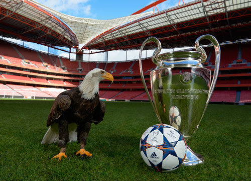 辽宁男篮宏远再度上演巅峰对决